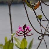  Ecuador